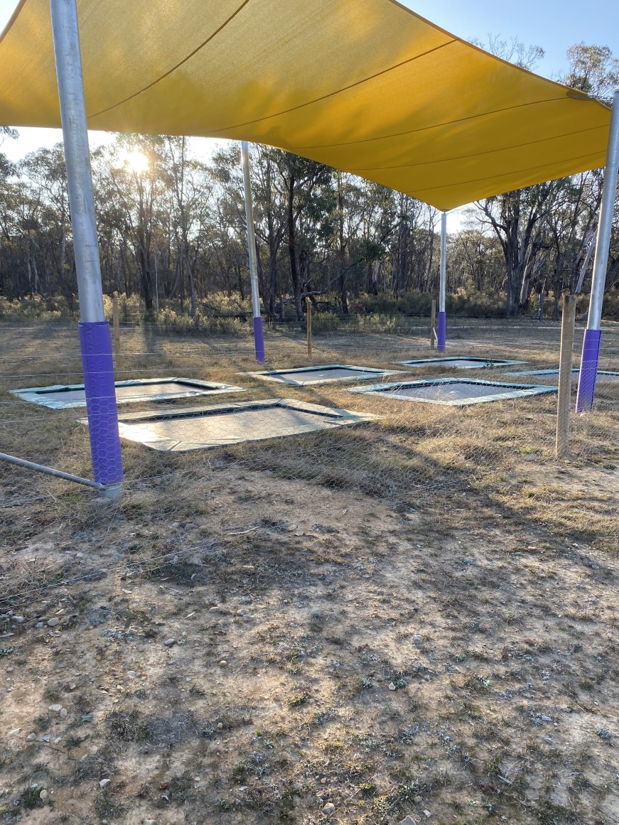 Inground trampolines in Capertee Reserve Fitness Trail in Short Street. There are six trampolines underneath a yellow shade sail which is supported by 6 metal poles with purple injury protection material.